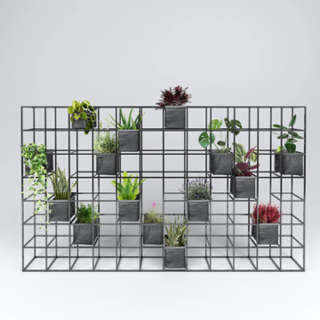 ipot-824-sg-supercake-585777-rel375acf98.jpg