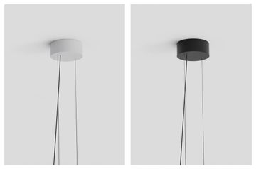 Canopy-SIL-Regroupés-REV-1300x859.jpg
