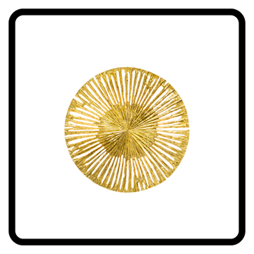 Fotos-website-1-4.png
