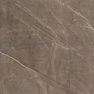 Prestigio Pulpis