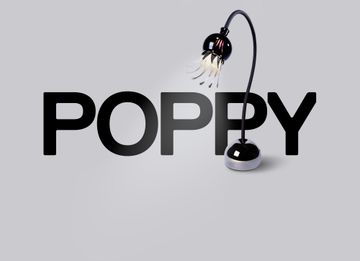 poppyfamilytable001jpg