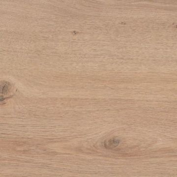 QUERCIA MONTANA