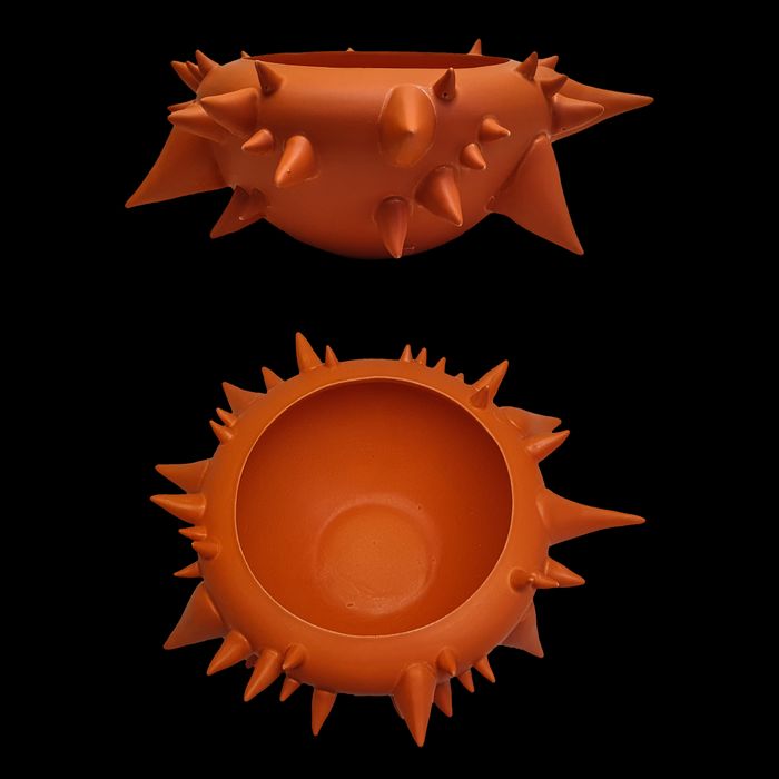 CHORISIA-2