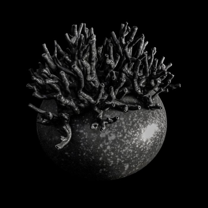 NIGRUM