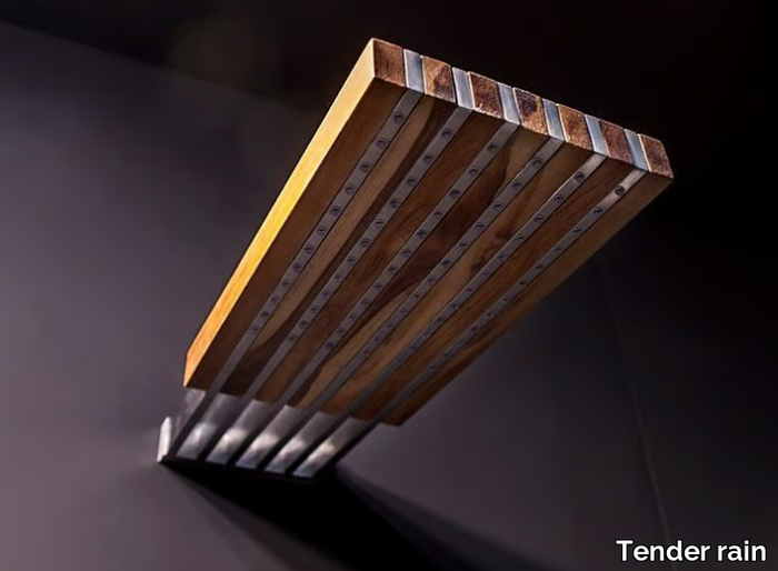BABORDO - Wall-mounted steel and wood rain shower with anti-lime system _ Tender rain