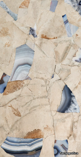 FOSSIL-BUTTERFLY-Tecnografica-557986-rel14996169.jpg