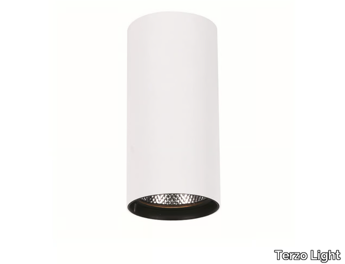 NESTOR-2-Terzo-Light-444953-rel1b854822.jpg