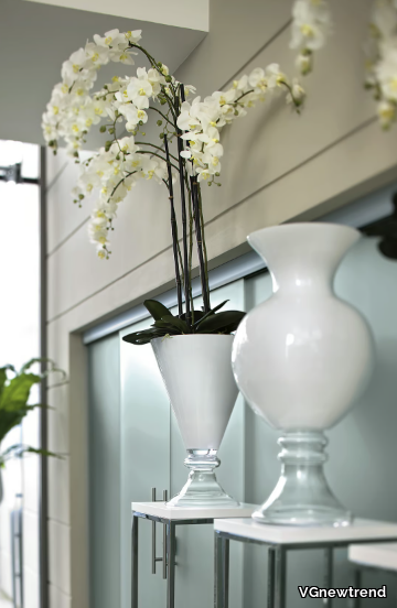 ann-vgnewtrend-279640-rel9b6e38fa.jpg