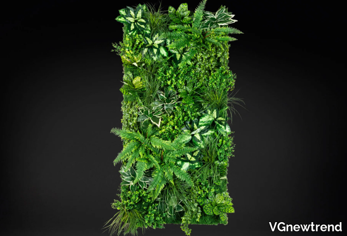 molokai-vgnewtrend-584884-rel1c68d9da.jpg