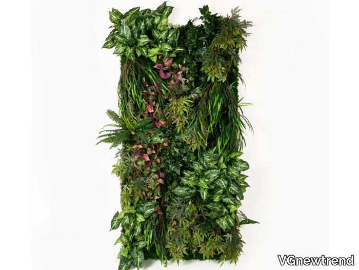 mindo-vgnewtrend-584886-reldbf39289.jpg
