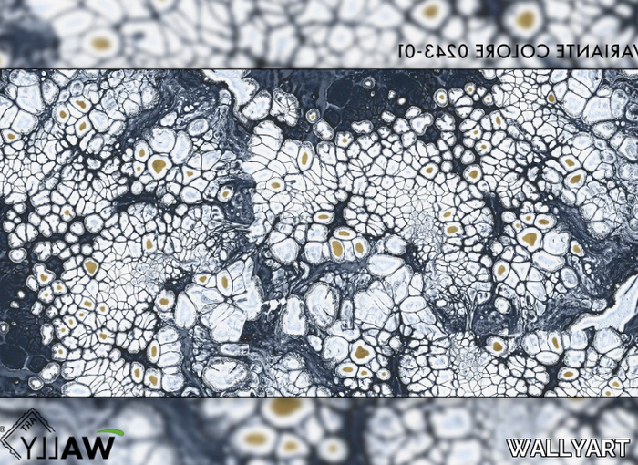 OSSIDIANA-WALLYART-587421-relfc8425af.png