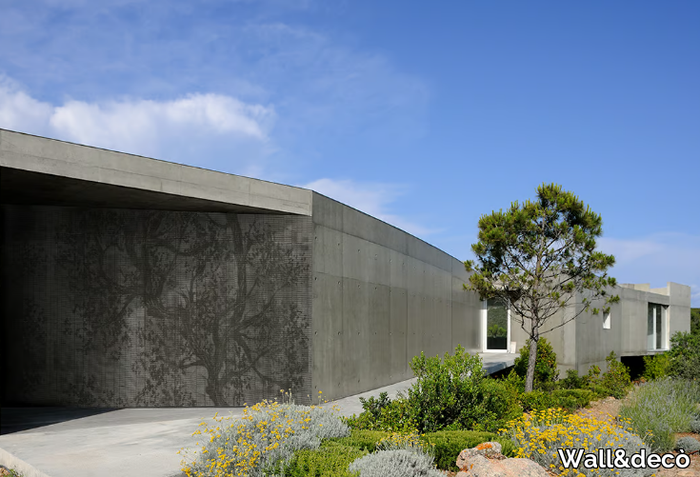 WOODPECKER-Wall-decò-421903-rel5832908e.jpg