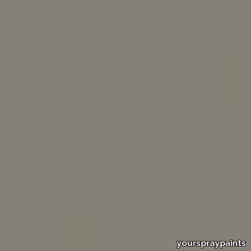 ral-7048-aerosol-spray-paint-pearl-mouse-grey-500x500.jpg