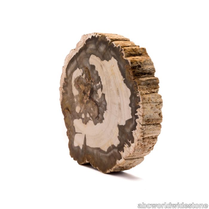 Brown Petrified Wood Retro