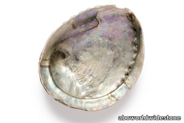 Black-Mother-of-Pearl-shell-600x400.jpg