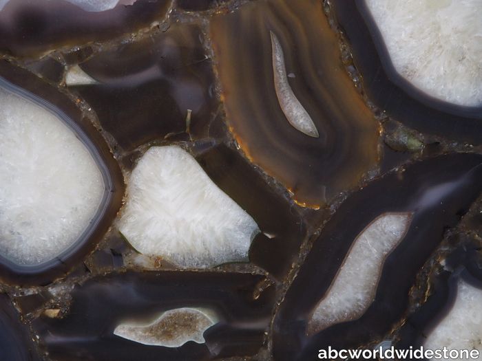 Black-Wild-agate-closeup.jpg