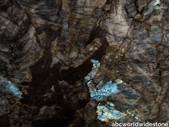 Lemurian-Baobab-close-up-1-6783-scaled.jpg