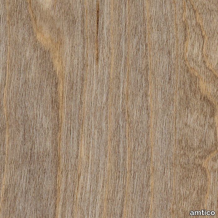 Bleached Elm