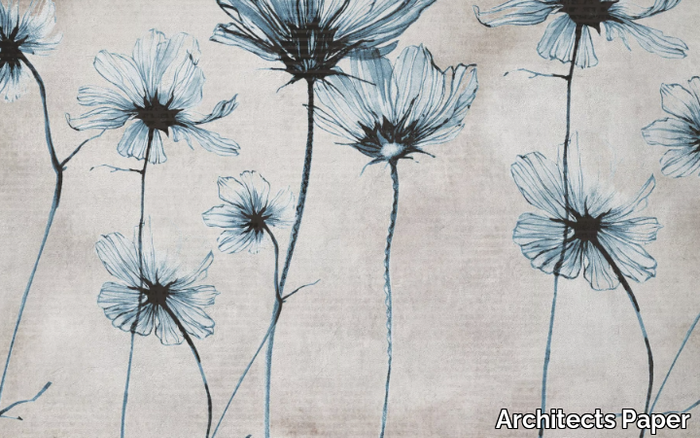 BLUE-DAISY-Architects-Paper-527874-rel9ba0a86c.jpg