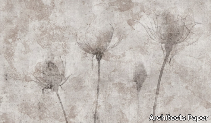 VINTAGE-X-RAY-Architects-Paper-528007-relb399635.jpg