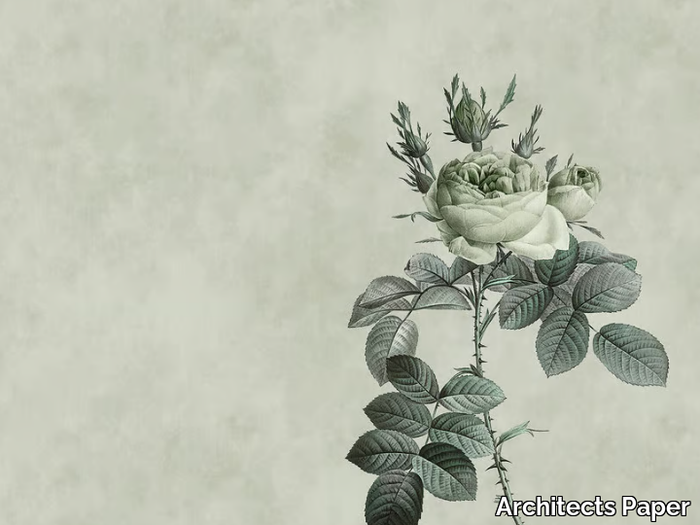 rose-architects-paper-a-brand-of-a-s-creation-tapeten-354524-relf854d35f.jpg