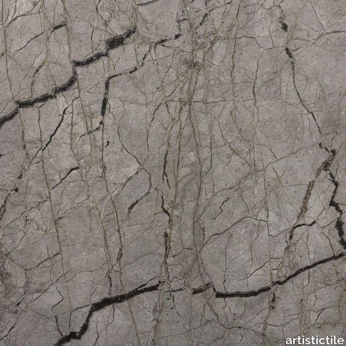 plp_Silver_Root_SLSROOTH2.jpg
