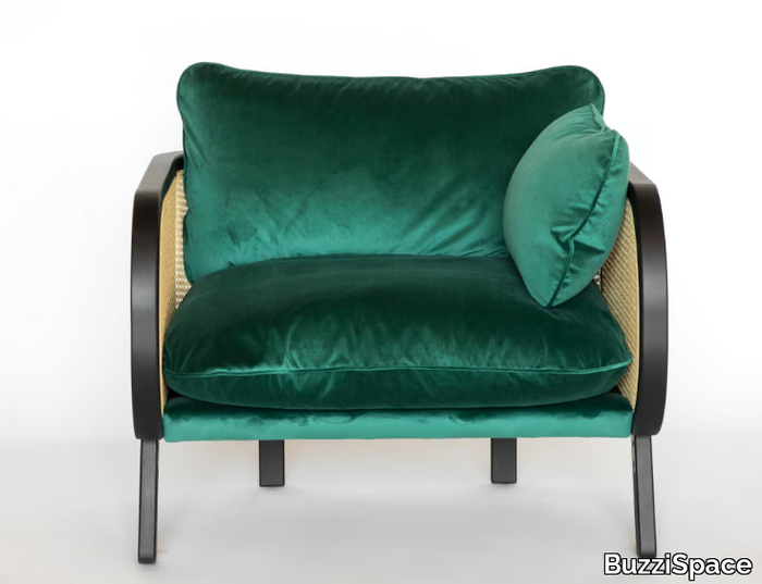 buzzicane-velvet-armchair-buzzispace-310624-relc61546b0.jpg