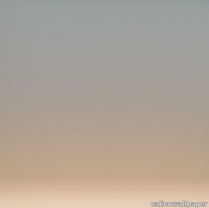 Calico-Wallpaper_Aurora_Anew_Silhouette-1280x1278.jpg