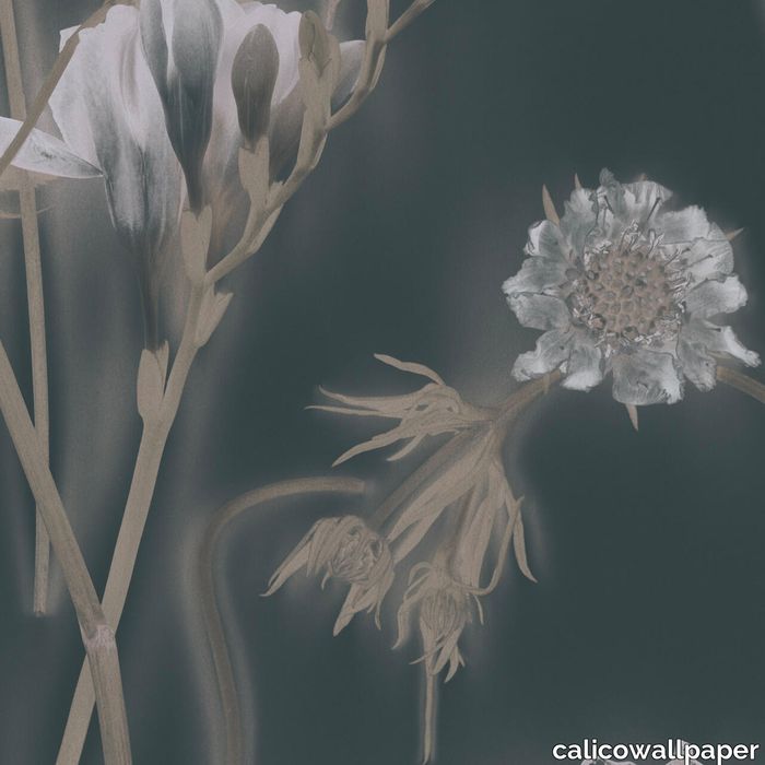 Sunprints_Fern_24x24-Web.jpeg