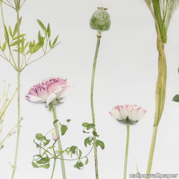 Wildflower-1280x1280.jpg