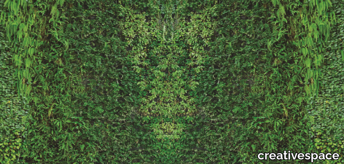 GRASS-CREATIVESPACE-363351-rel7b21caf2.jpg