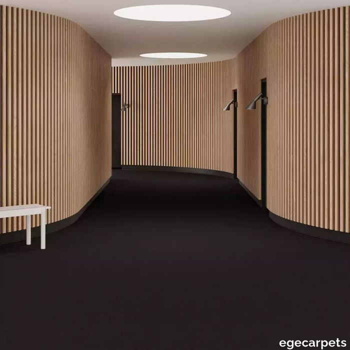 6-RF5595004.webp