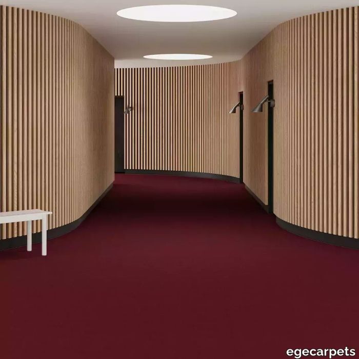 6-RF5500009.webp