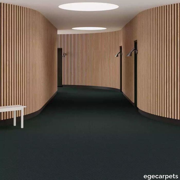 6-RF5500249.webp