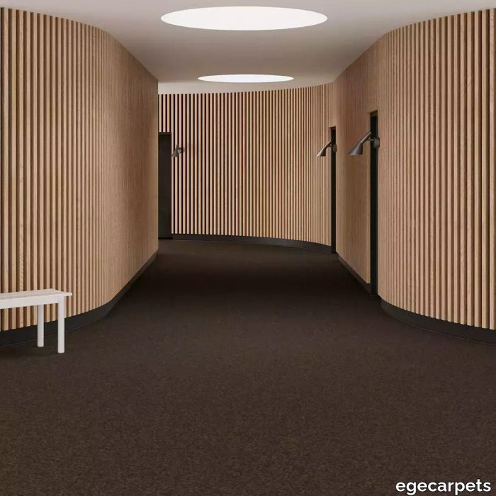 6-RFM55952048.webp