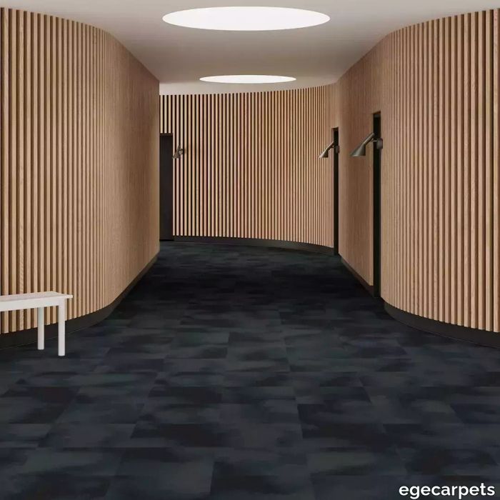 6-RFM55952084.webp