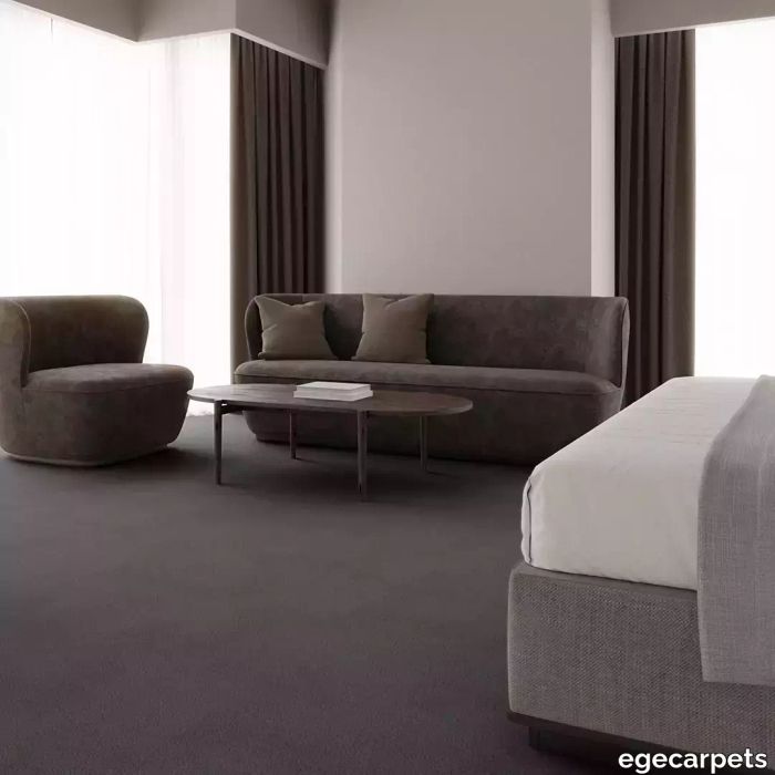 12-079701248.webp