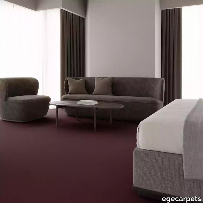 12-RF5500270.webp