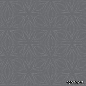 Colortec 80/20 mono star