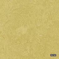 marmoleum fresco mustard