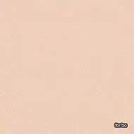 sarlon 19 db colour soft peach stardust