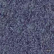 tessera basis pro blackcurrant
