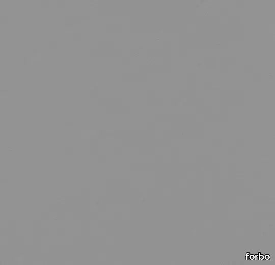 10019_4132.webp