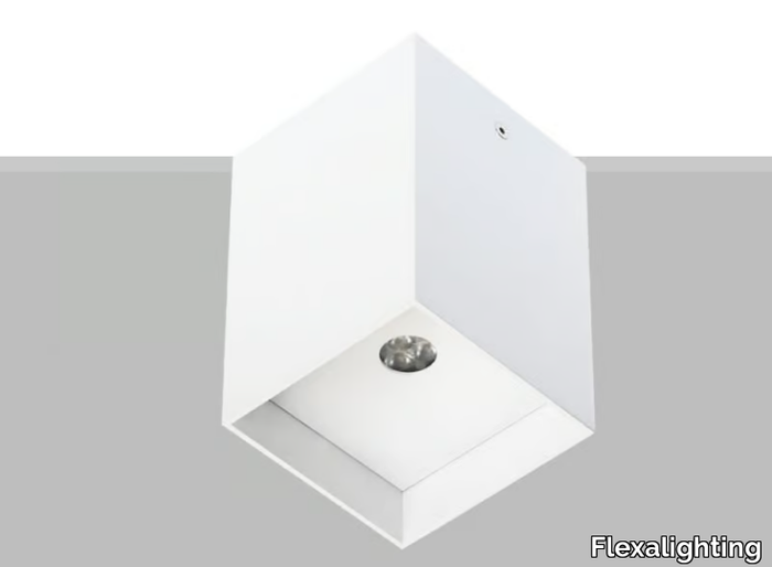 ARIK 6 - Ceiling Mounted Luminaire _ Flexalighting