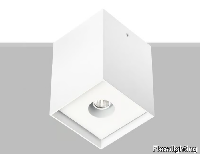 ARIK 10 - Ceiling Mounted Luminaire _ Flexalighting