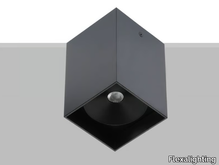 ARIK 2 - Ceiling Mounted Luminaire _ Flexalighting