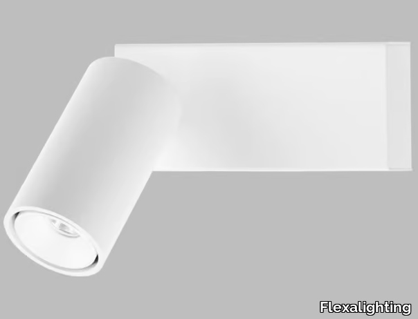 BULL 10 BASE - Surface Projector _ Flexalighting