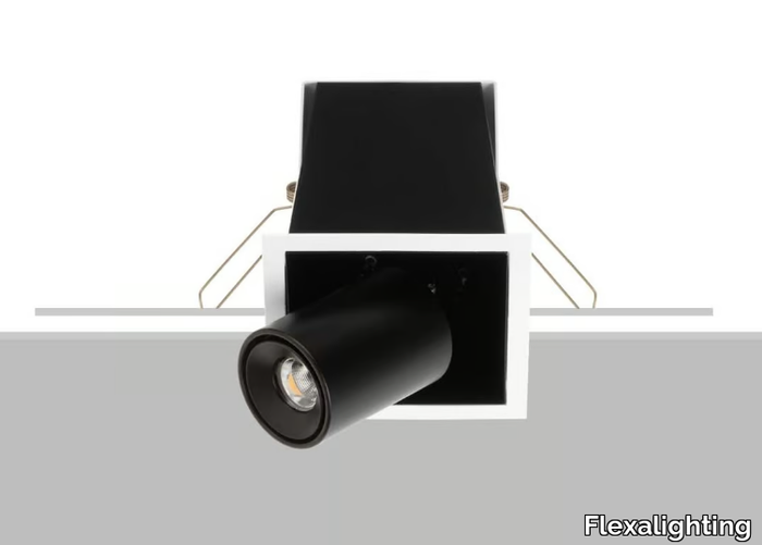 LEDA Q10 - Adjustable Downlight _ Flexalighting
