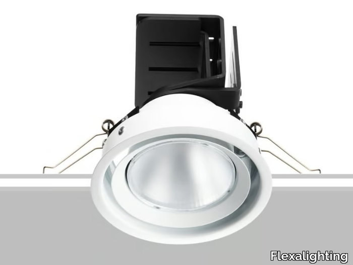 MINE 20 - Adjustable Downlight _ Flexalighting