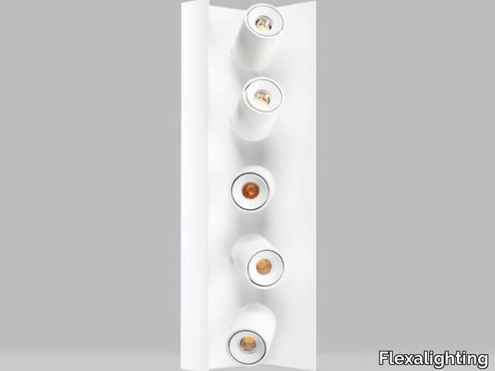 SASHA 150D - Surface Projector _ Flexalighting